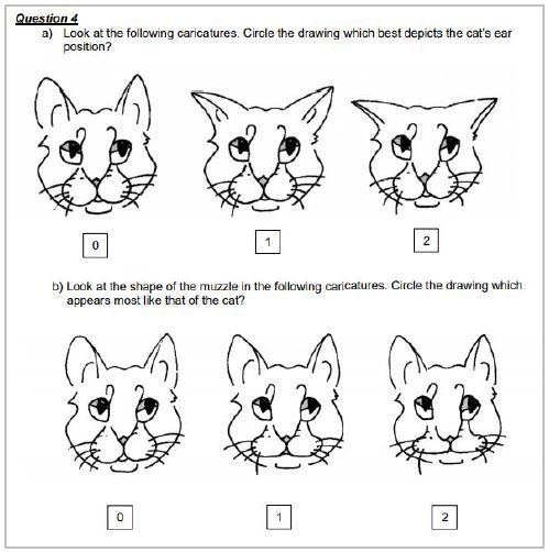 glasgow-pain-scale-for-cats