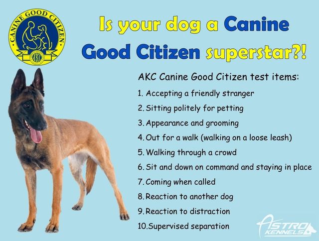 k9 good citizen