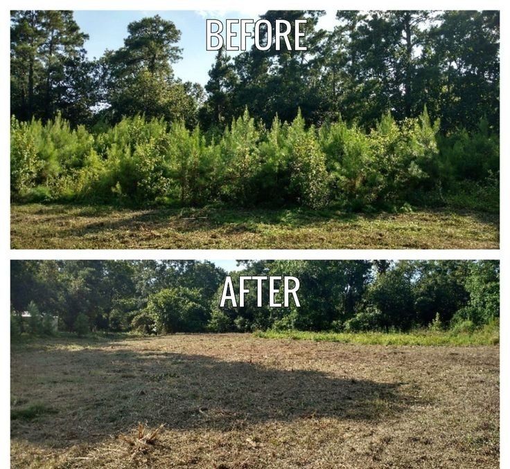 Land Clearing Gallery Whack'em and Stack'em Tree Service Charleston