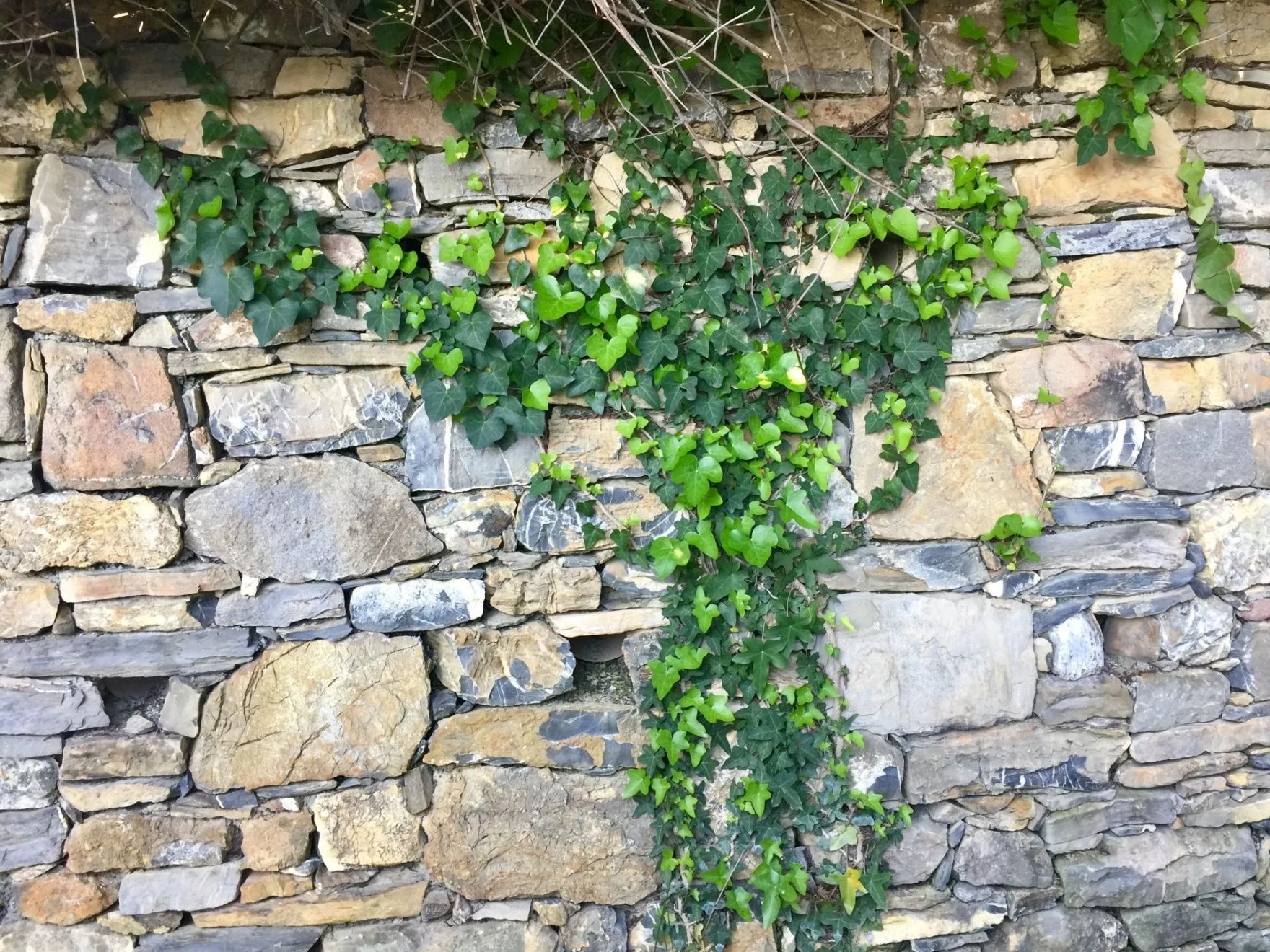 pietre liguri per lavori di muratura