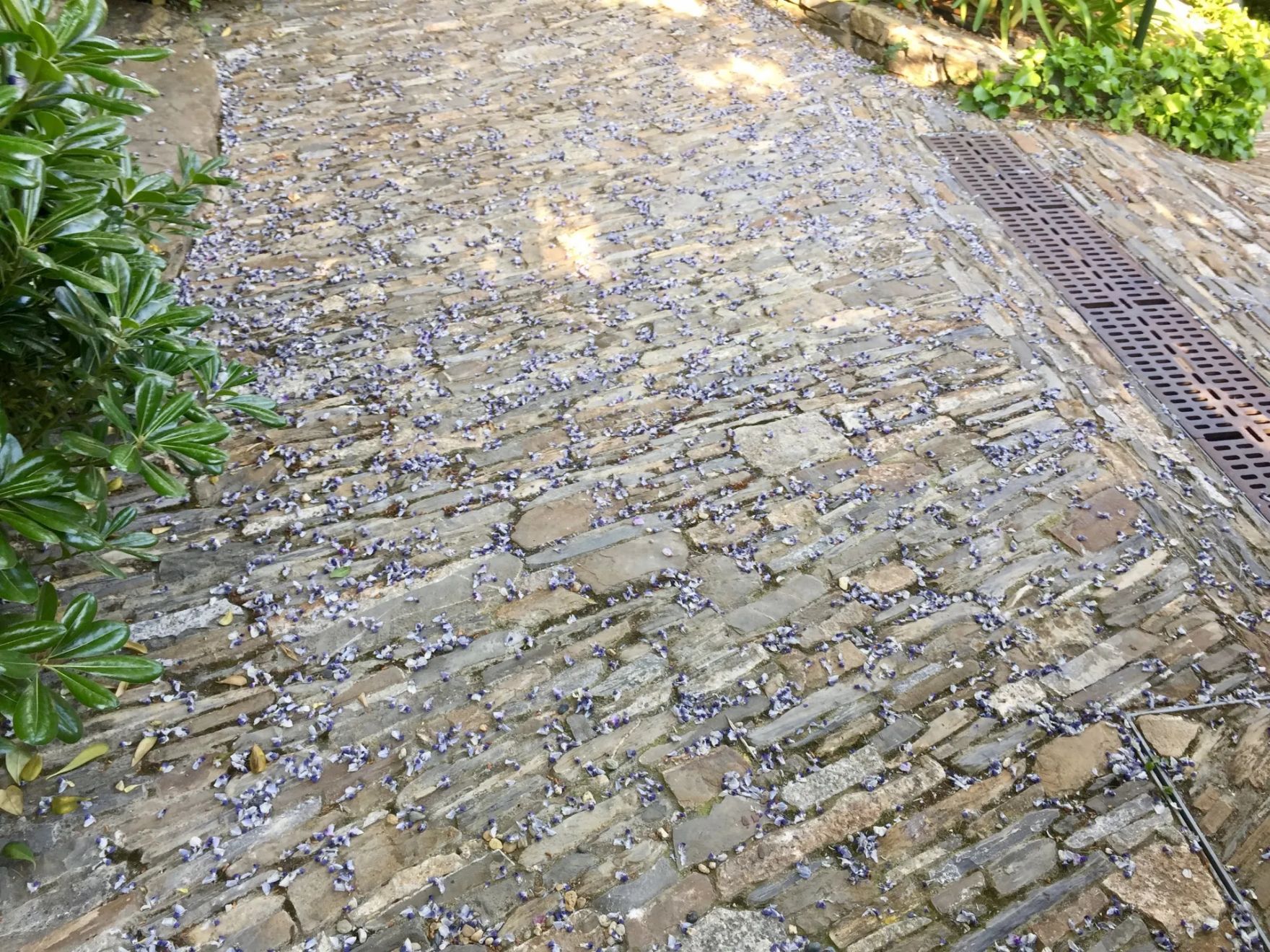 pietre per pavimentazioni