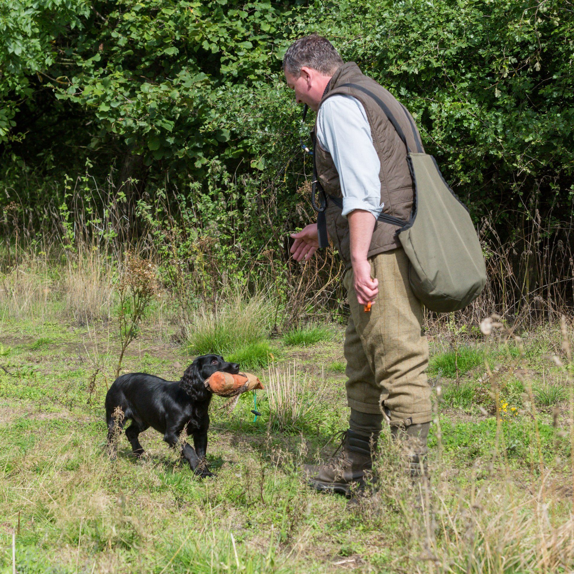 Gun dog residential training Brockwell Gundogs