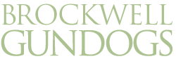 brockwell gundogs