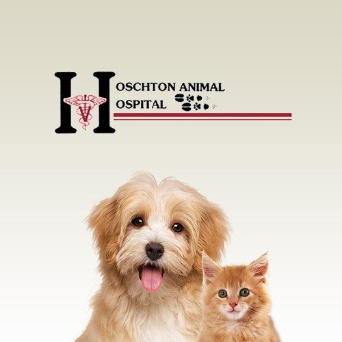 Vet Clinic in Hoschton & Braselton, GA Animal Hospital