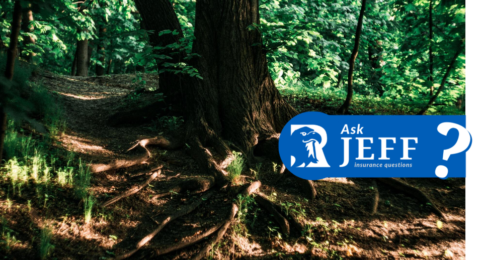 Will My Homeowner's Insurance Cover Tree Roots Damaging My Sewer Line?