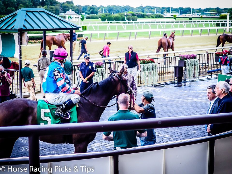 Free Horse Racing Betting Tips Picks Handicapping Angles