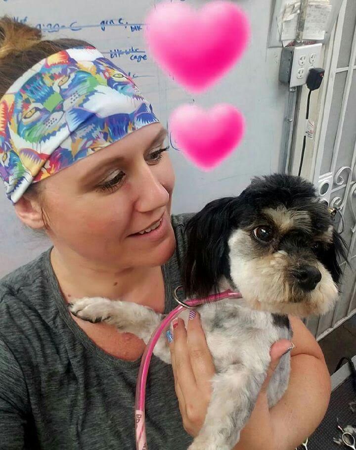Noah&rsquo;s Ark Dog &amp; Cat Grooming - Pet groomers Elk Grove, CA