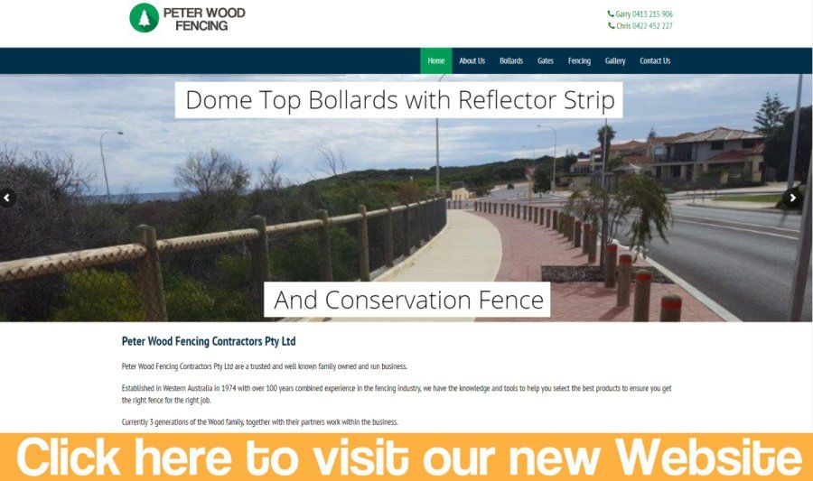 Professional fencing