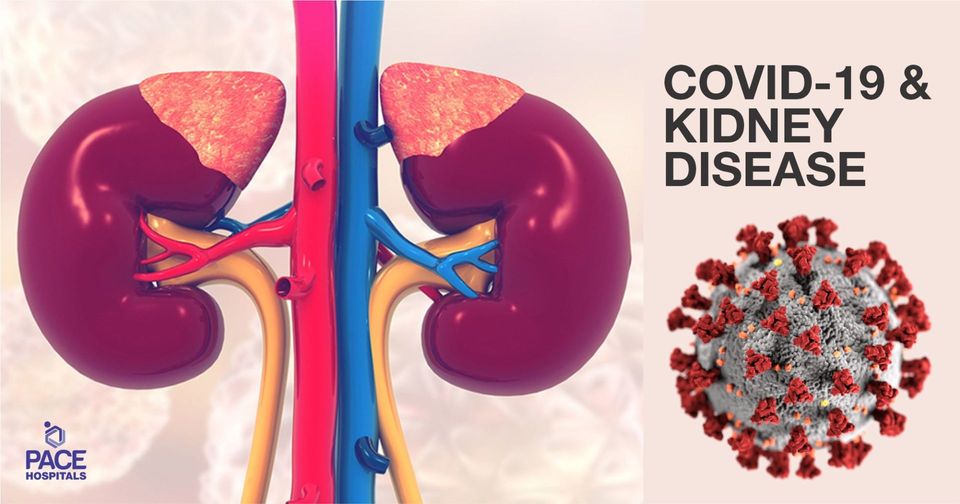 Covid19 and Kidney Disease Important Update for Kidney