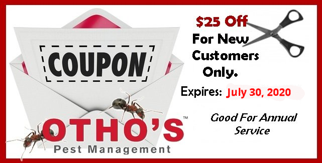 new customer coupon