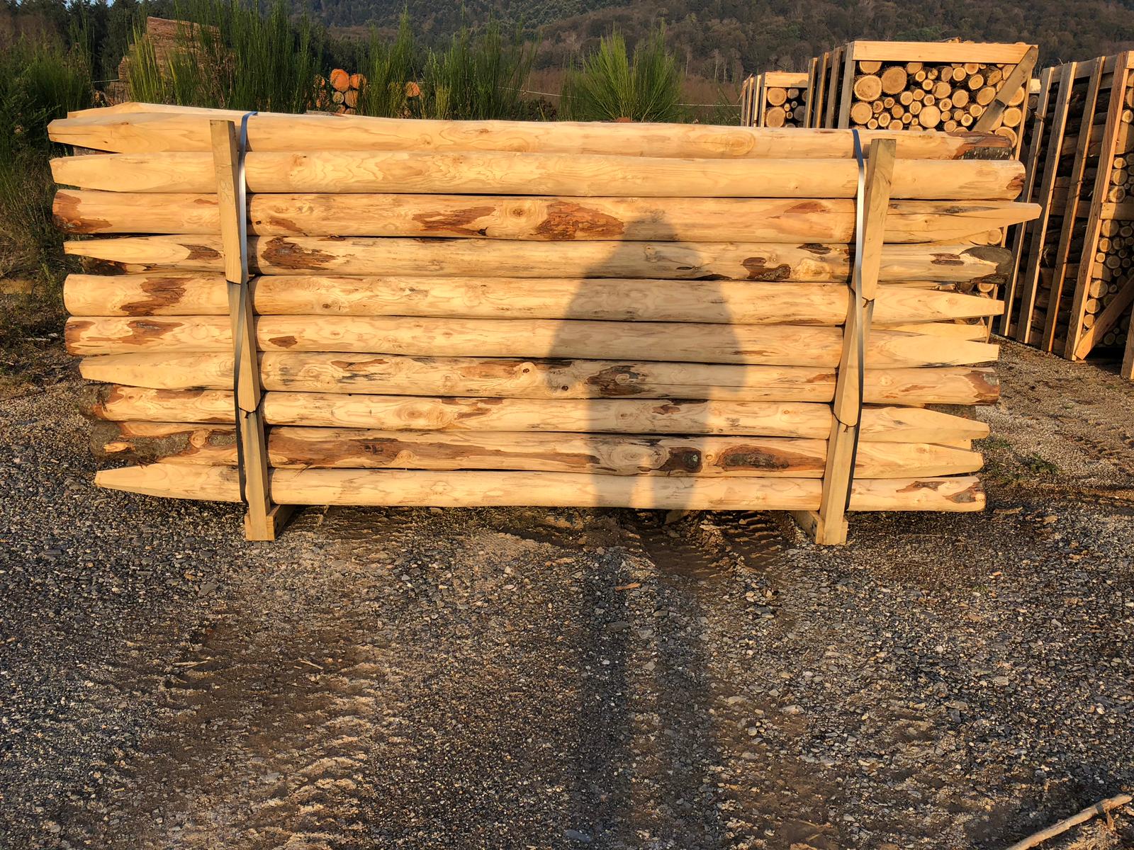 Vendita pali di castagno - Mongiana - Vibo Valentia - Boschiva Vallelonga