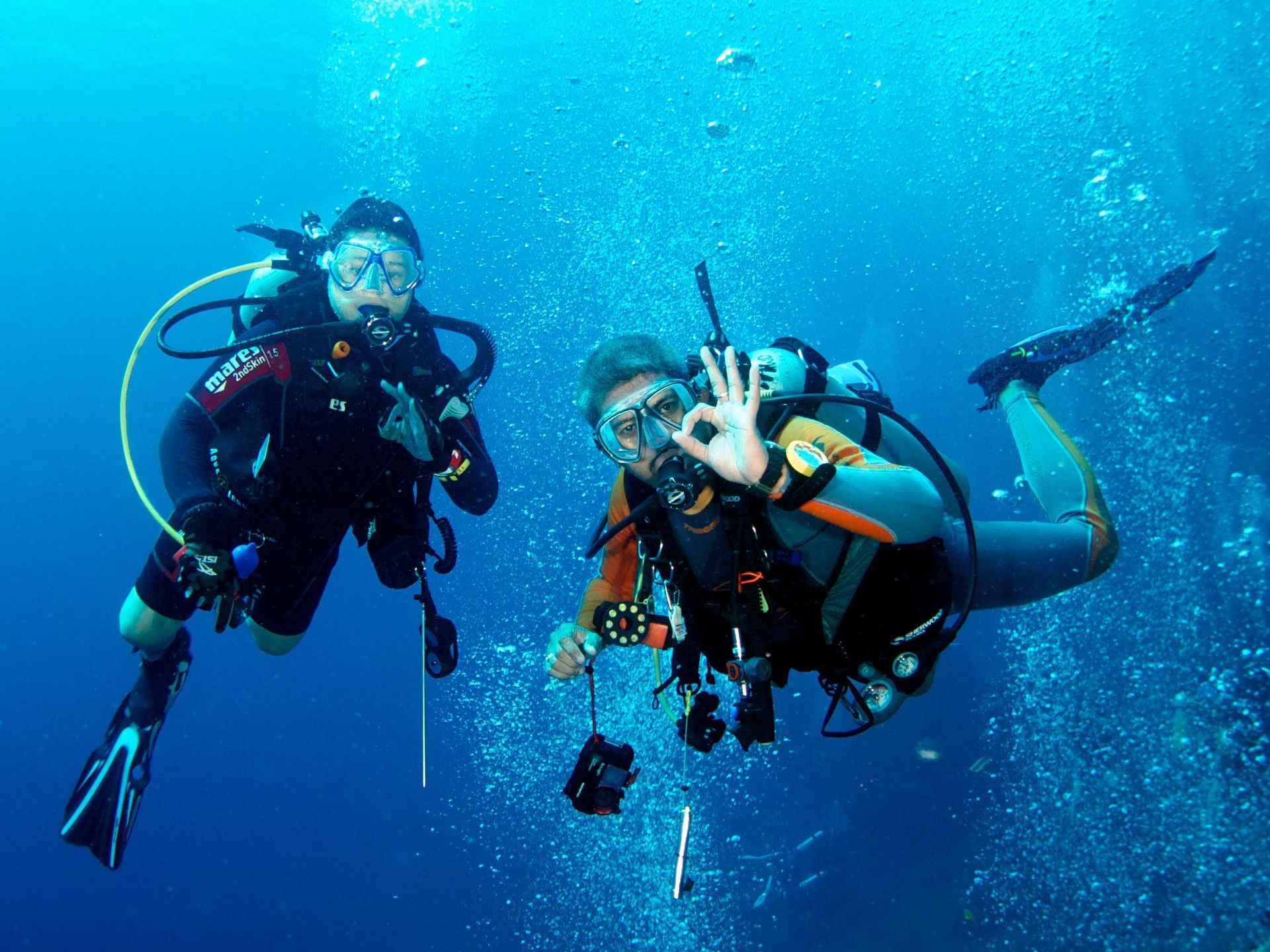 West End Diving : Professional Diving Center Since 1960