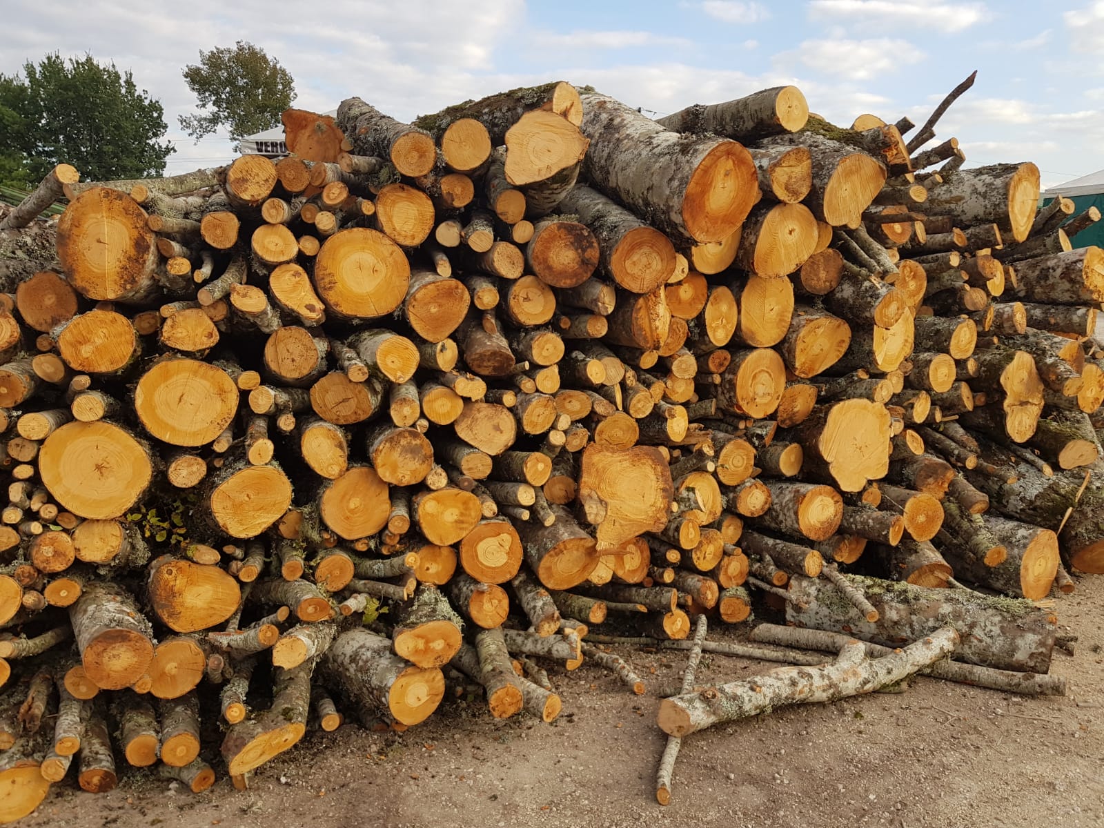 Legnami e pellet Monte San Giovanni Campano, Frosinone Veronesi Factory