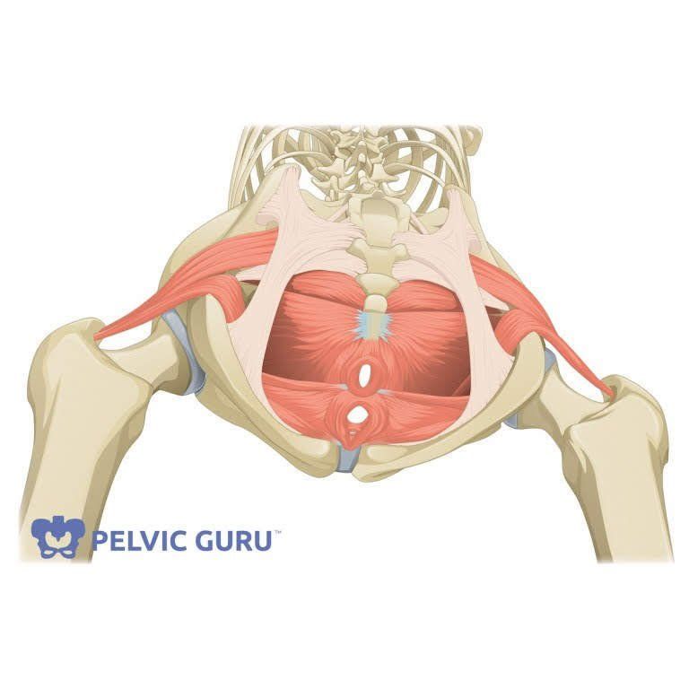 YOUR FIRST PELVIC FLOOR PT APPOINTMENT: What to Expect & How to Prepare
