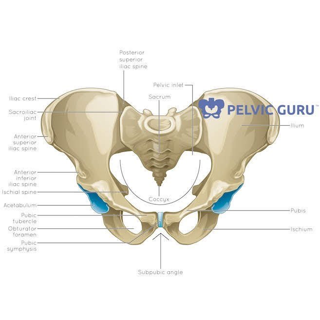 Pelvic Floor Dysfunction Doesn T Mean Doomsday