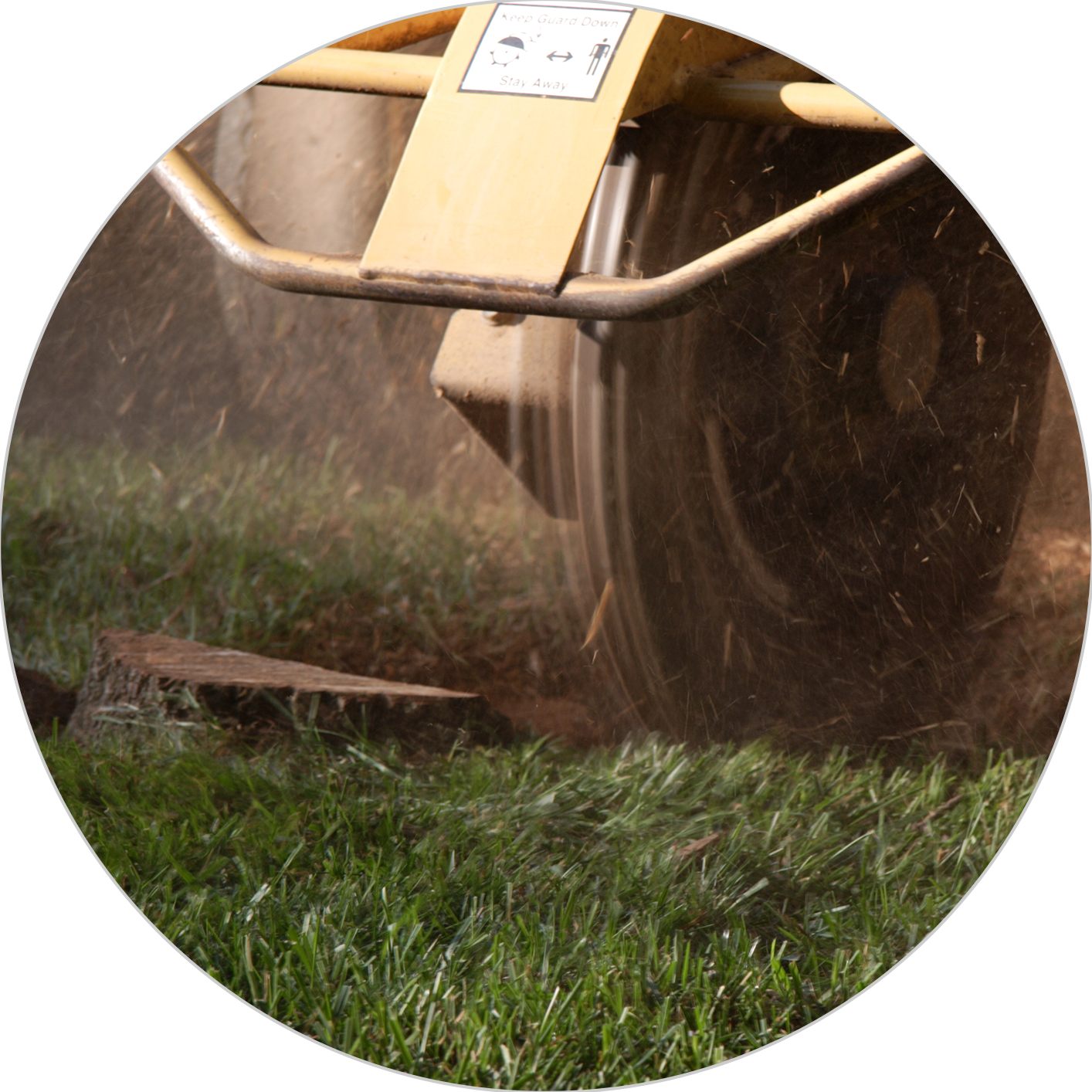 Tree & Snow Removal Company Madison, Middleton Sun Prairie WI - Stump