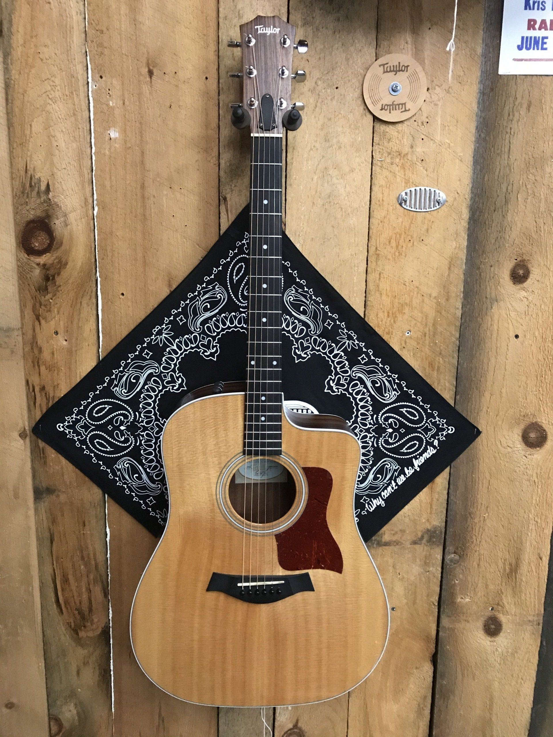 Guitar Gear Carlisle, PA Woodshed Guitar Works