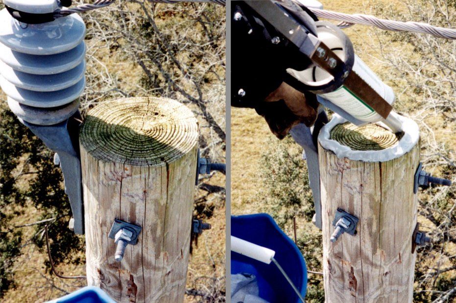 TimberBond Repairs Wooden Utility Poles