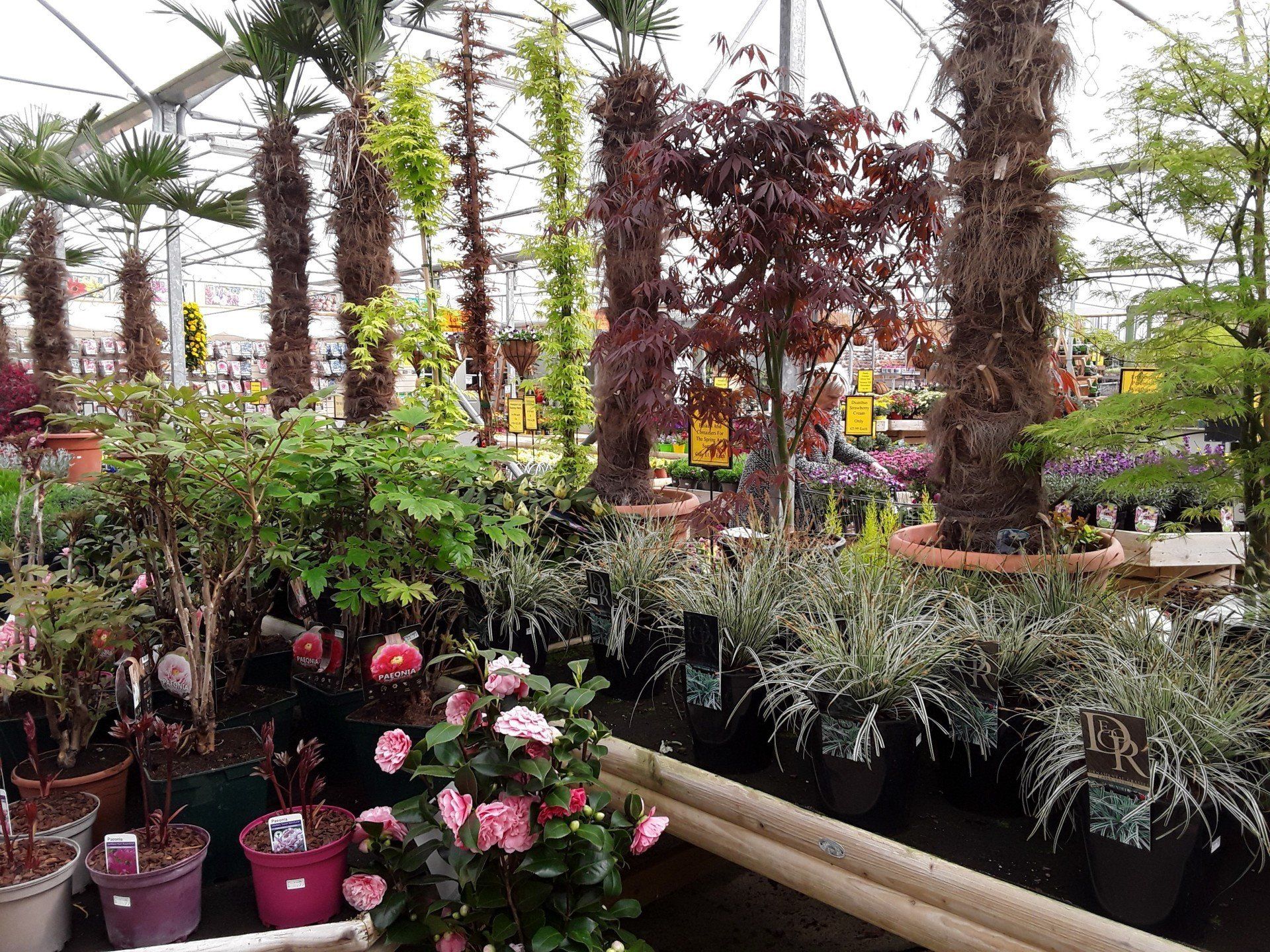 Our Garden Centre Moulton Nurseries Norwich, Norfolk