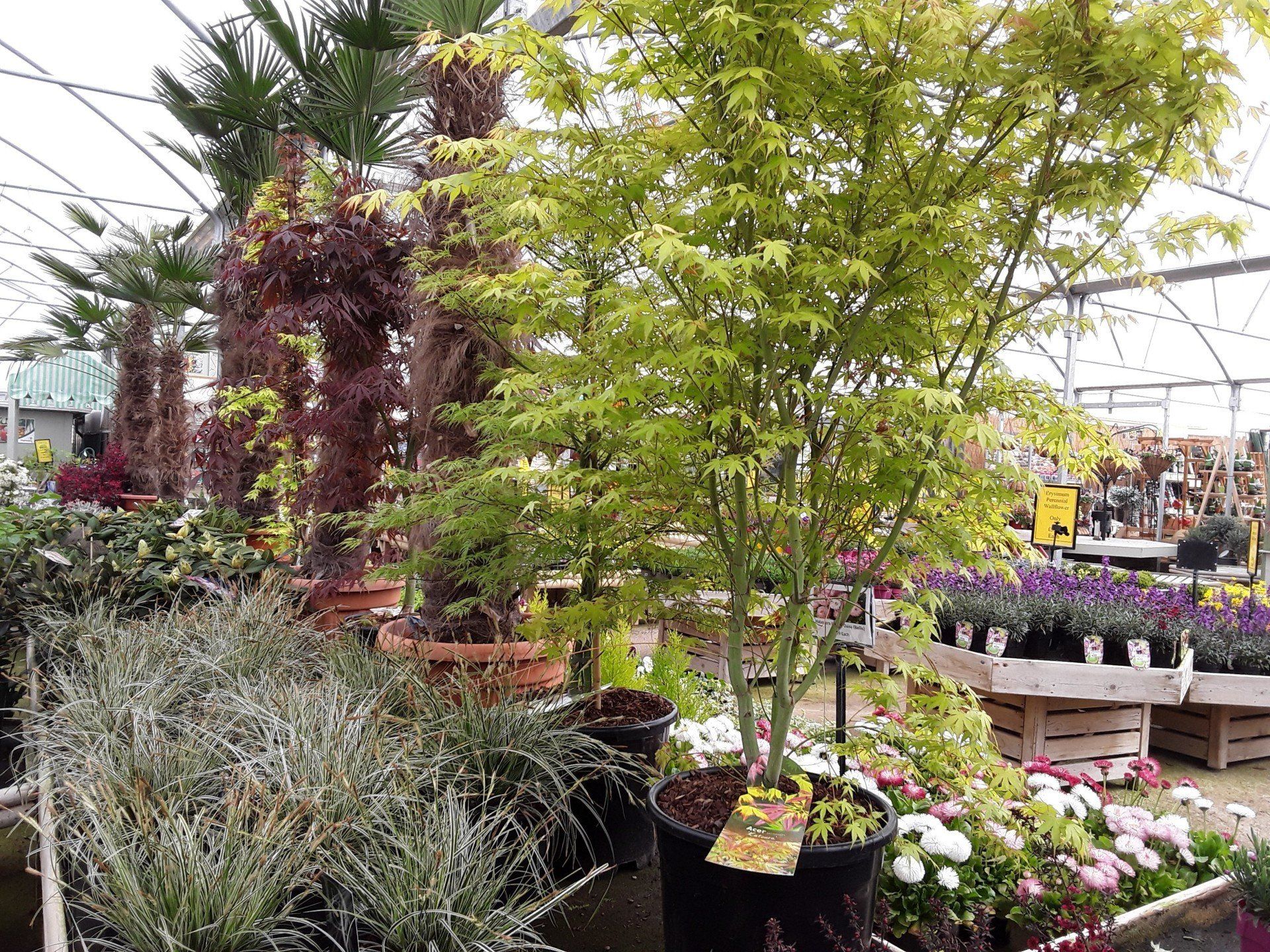 Our Garden Centre Moulton Nurseries Norwich, Norfolk