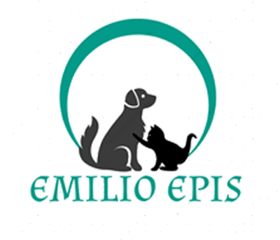 cibo per cani vendita on line
