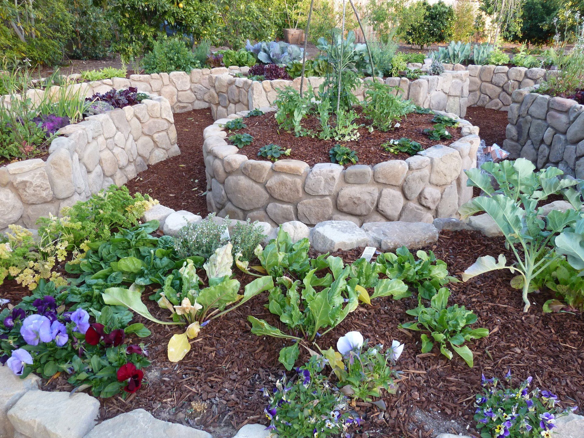 The Incredible Edible Landscape