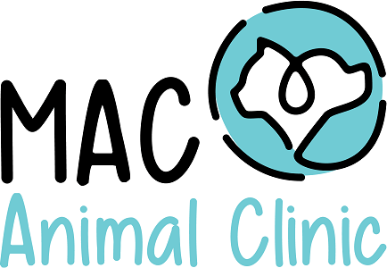 download the new version for mac Happy Clinic download the new version for mac Happy Clinic