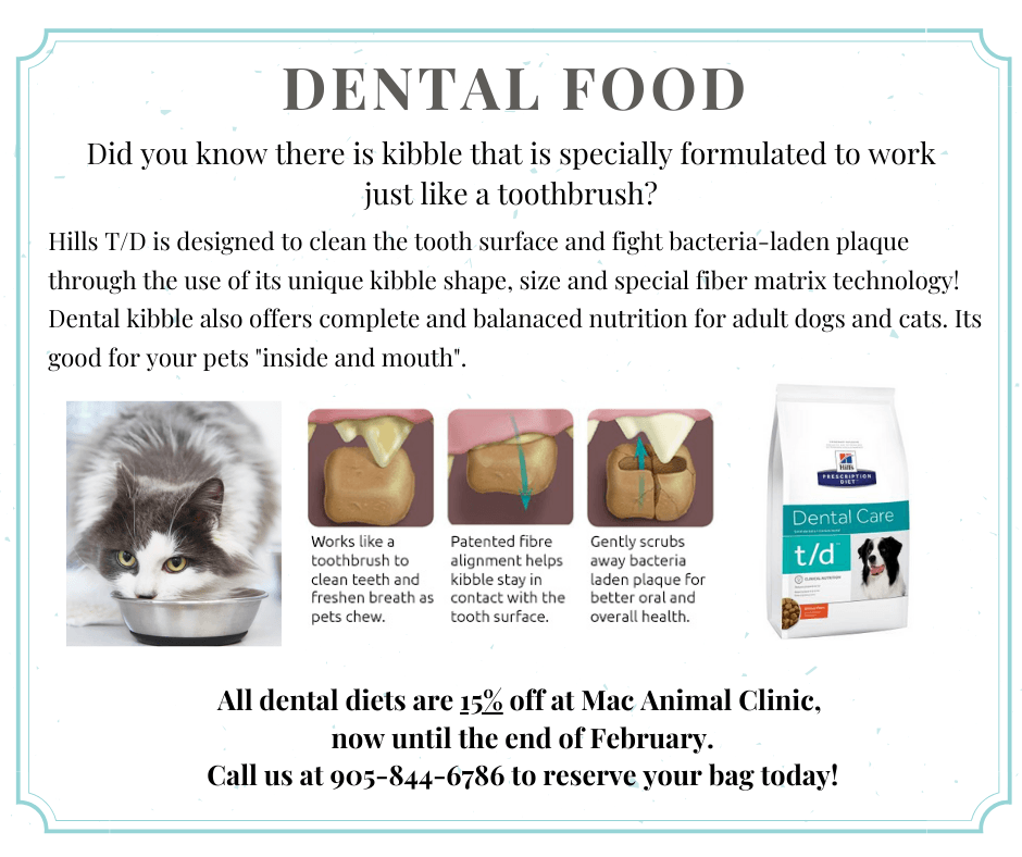 DENTAL KIBBLE. NUTRITIOUS AND DELICIOUS!