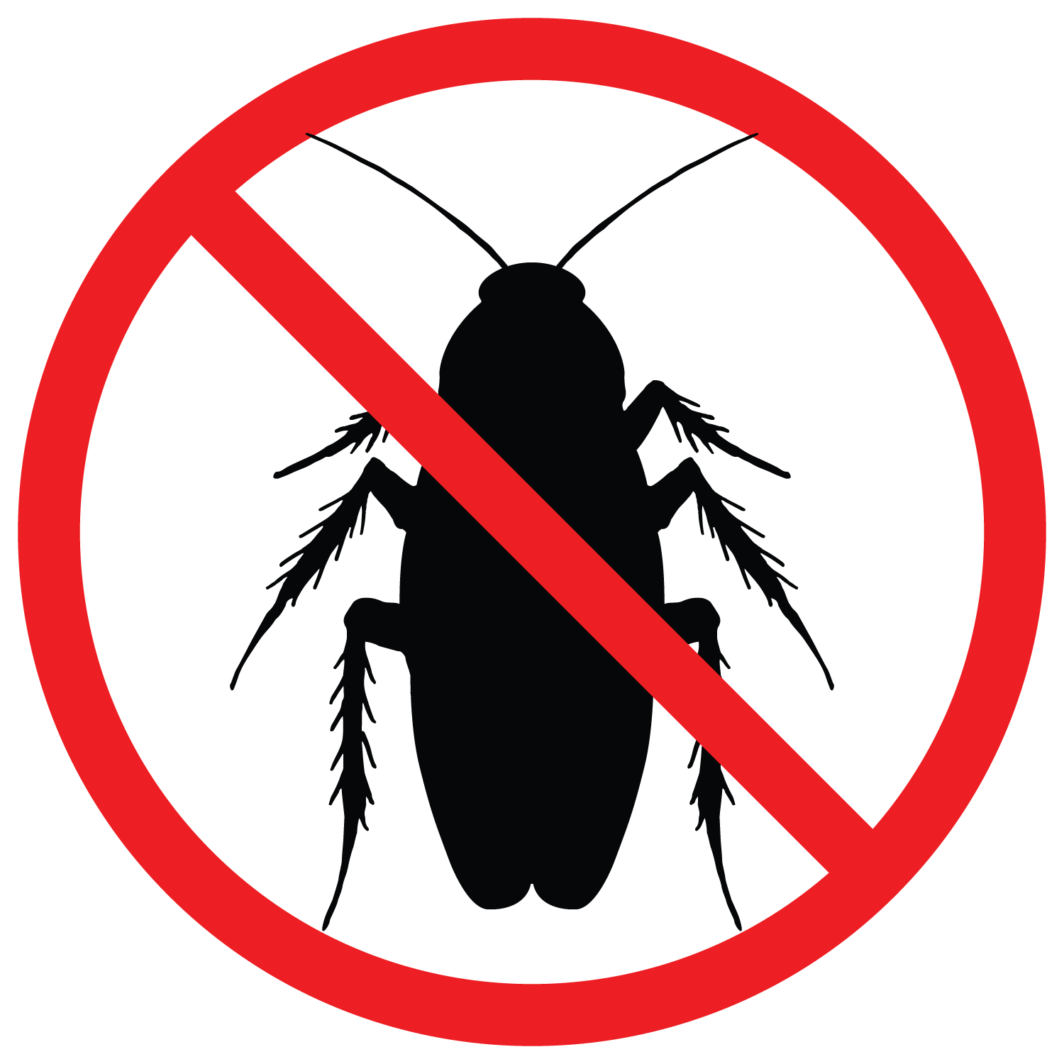 Kennewick Insect Control