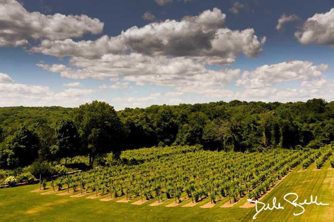 Outdoor Wedding Venues In Ct