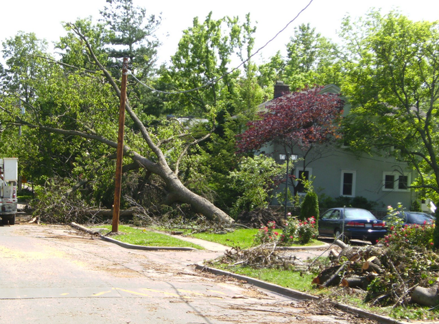 Topnotch Tree Service Of Rochester Inc Penfield Ny