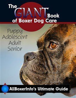 the giant book of boxer dog care
