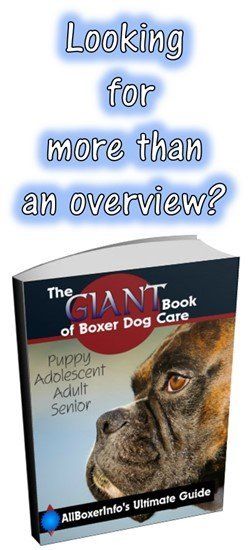 the giant book of boxer dog care