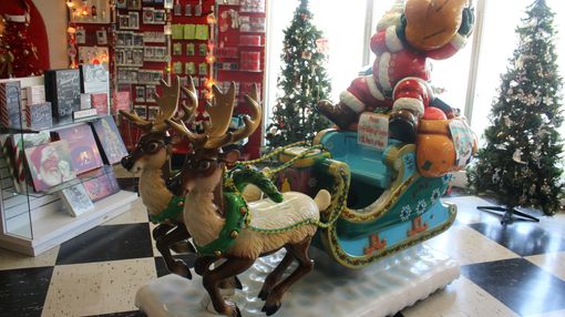 Caronchi Photography 160331 1423