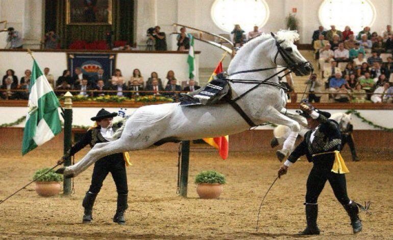 Private Cadiz tour to Jerez and the Andalusian horse show