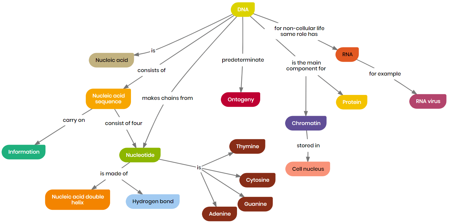 Dna Structure And Function Concept Map - United States Map