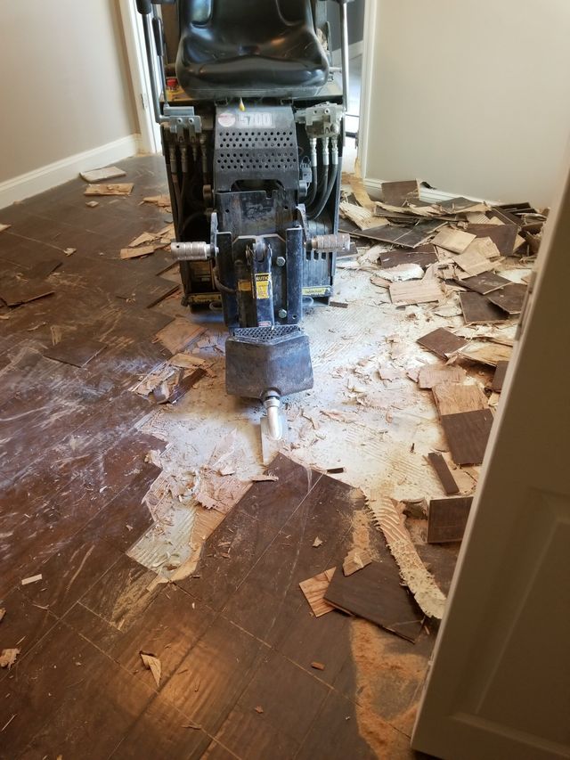 Surface Removal In Florida And Georgia