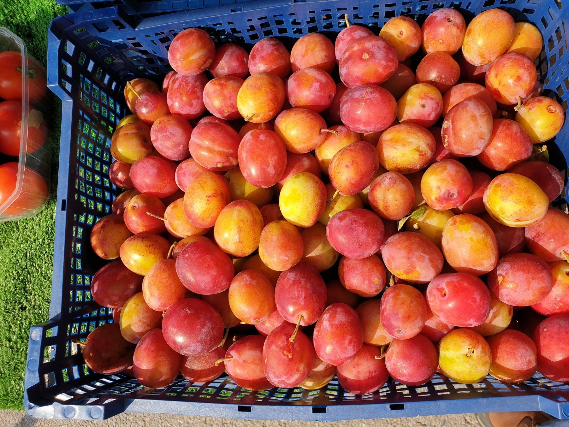 Maidenhead Farmers' Market
