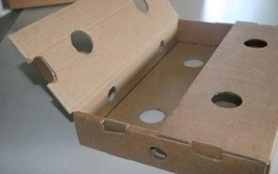 Scatola Cartone Avana Ondulato 1 Onda / Cm. L.28 X P.23 X H.12