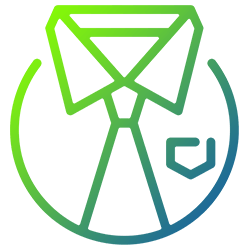 Icona - Professionalità