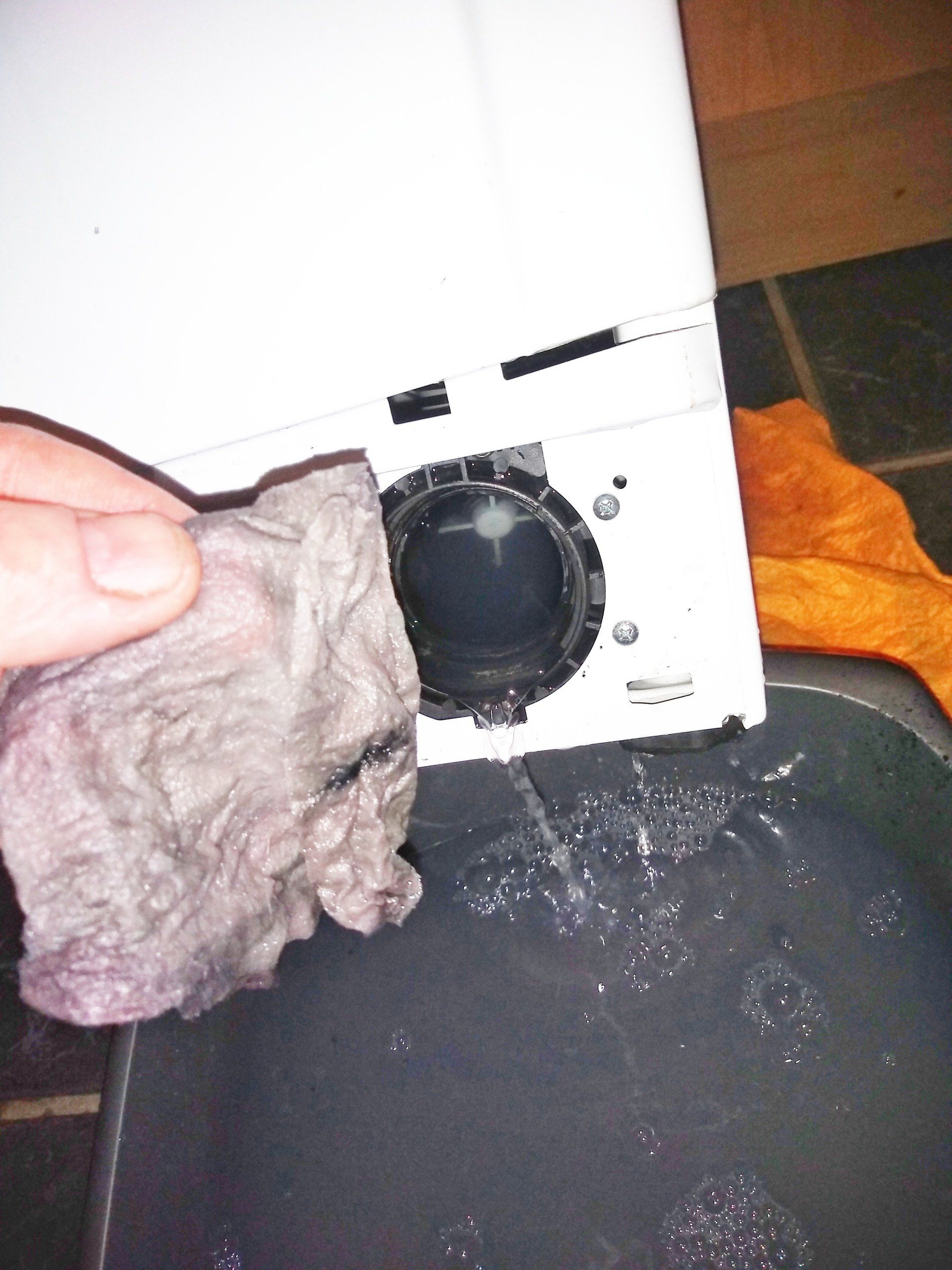 A Miele dishwasher lower door seal replacement