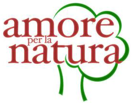 Composizioni Floreali Campoformido Amore Per La Natura