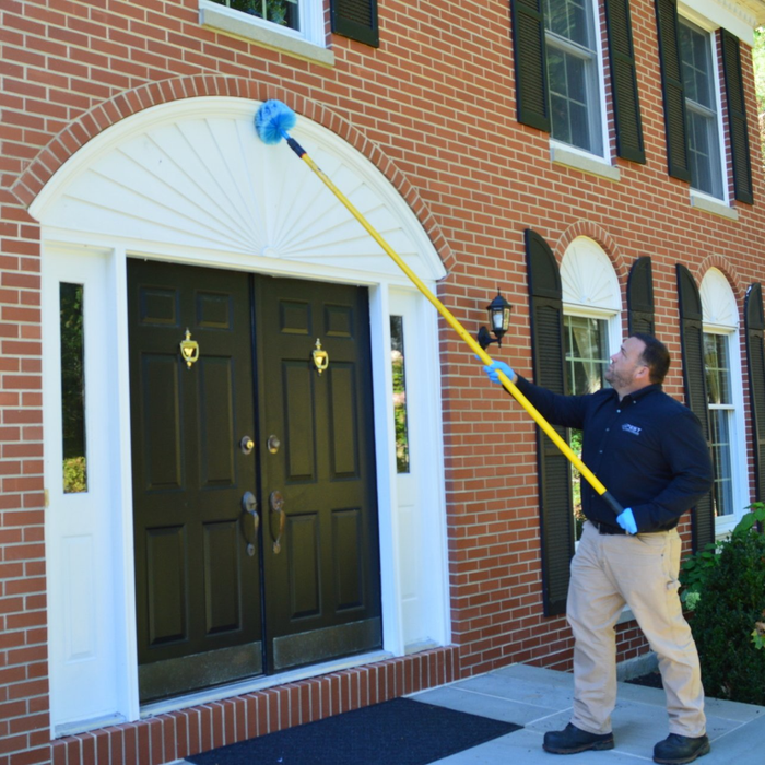 Pest Assassins Your Local Pest & Termite Control Experts