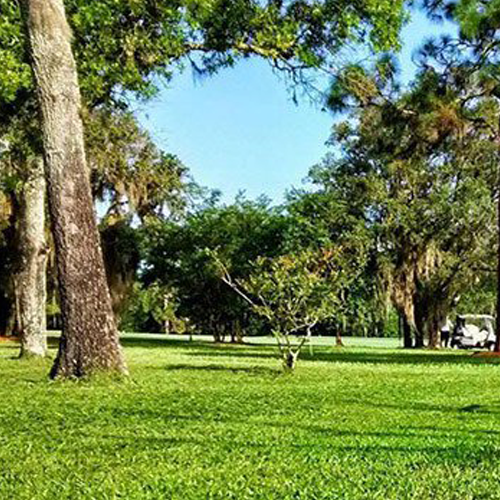 Bahia Sod Jacksonville, FL The Sod Lot