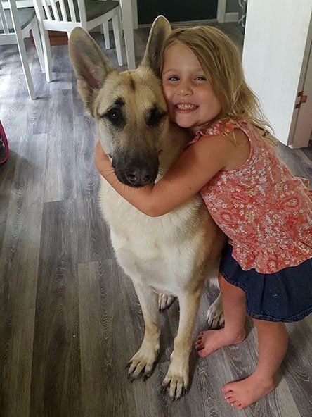 sw gsd rescue
