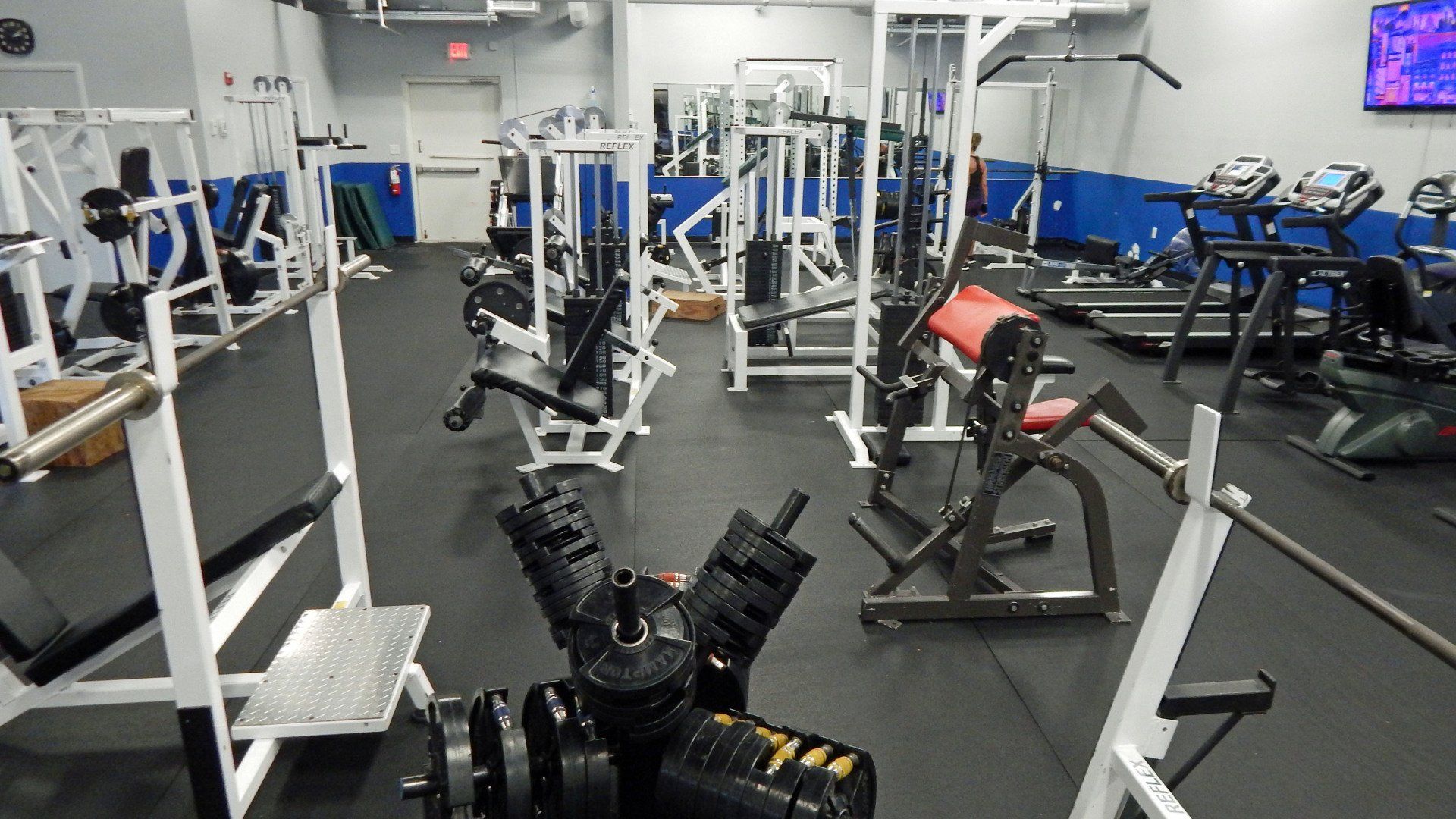 Venice Fitness Gym Personal Trainers, Physical Therapy Venice Fitness Gym Personal Trainers, Physical Therapy