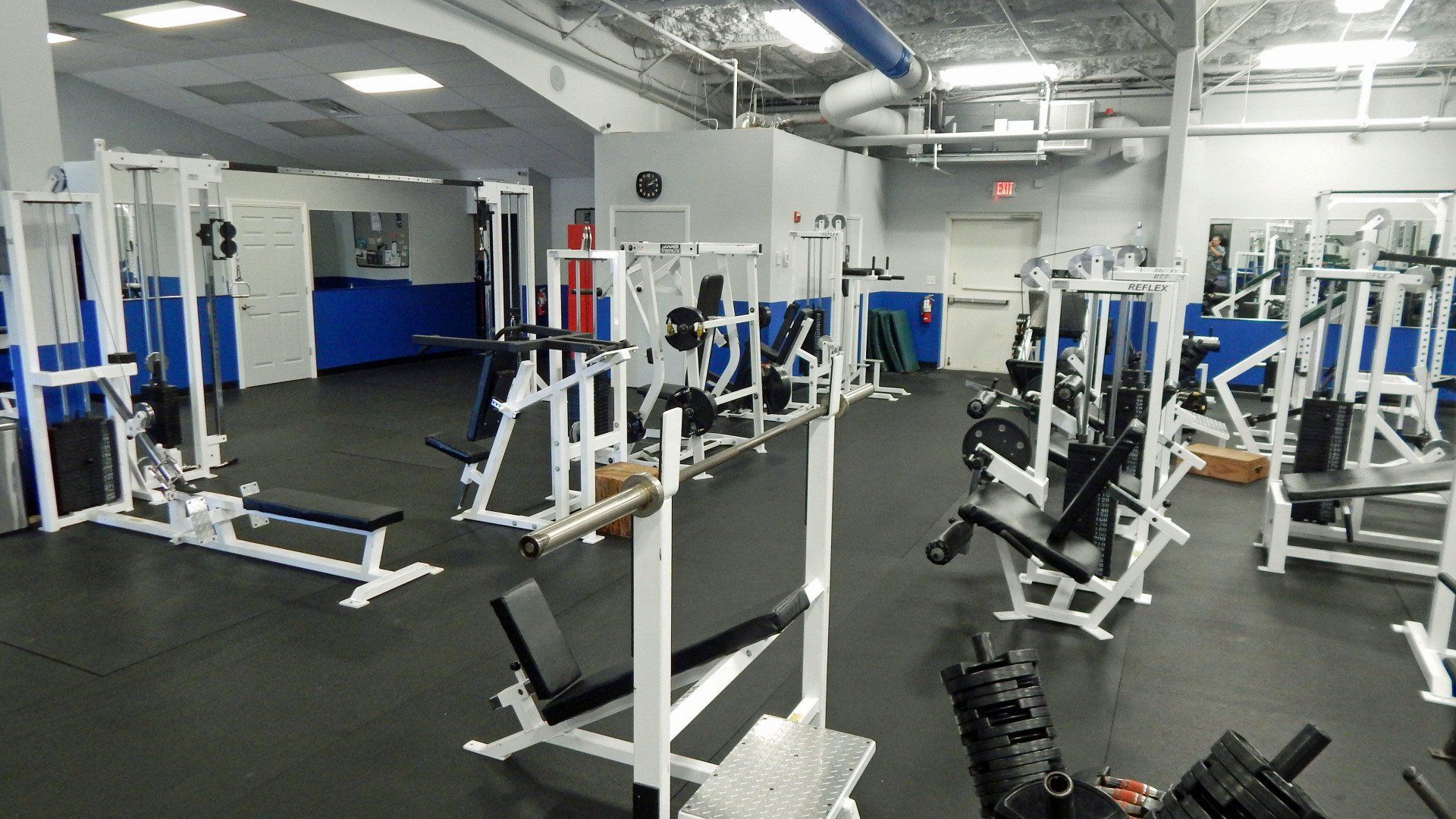 Venice Fitness Gym Personal Trainers, Physical Therapy Venice Fitness Gym Personal Trainers, Physical Therapy