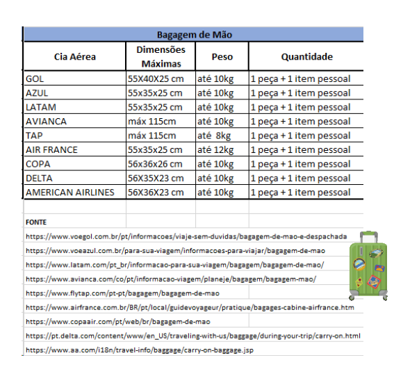 tap baggage rules