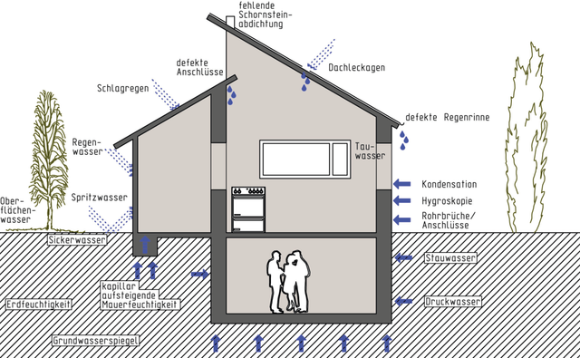 Schimmel Loswerden In Zurich Aargau St Gallen Thurgau