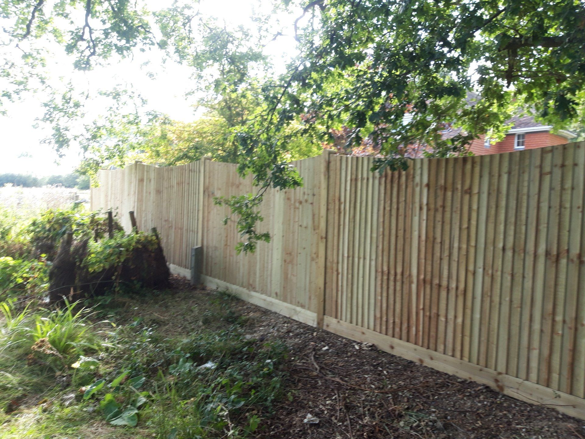 Fencing around a group of trees